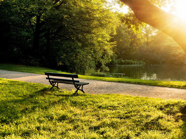 久久久久亚洲av无码专区蜜芽